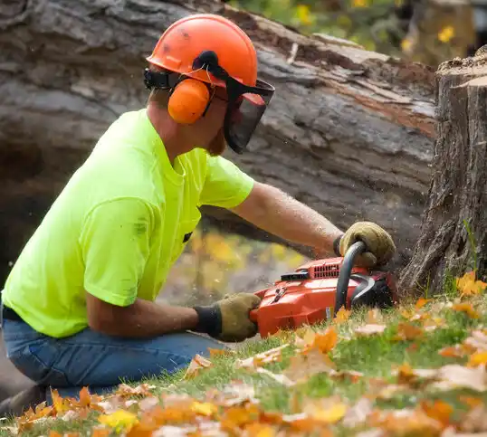 tree services St. Helena